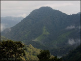 8665 Mountains