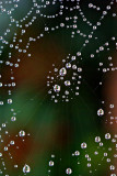 Natures Jewelry