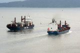 CMA CGM Togo x Log-In Amazonia