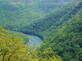 Coopers Rock, West Virginia.