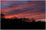 November 3, 2007    2944.jpg