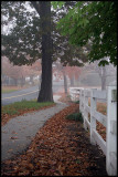 November 14, 2007      3287.jpg