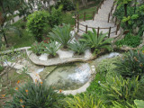  Botanical Garden
