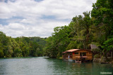 A Cruise on Loboc River 1