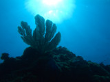 CRW_5225.jpg