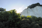 The Cliffs of Møn / Møns Klint