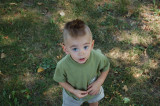 August 17, 2008
