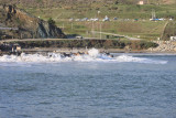 Avila Beach