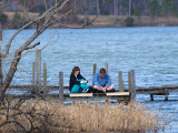 Sunny Afternoon at the Lake