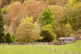 Windermere Walk_0139