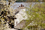 Windermere Walk_0116