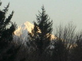 Mount Hood