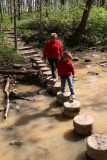 Fording the creek