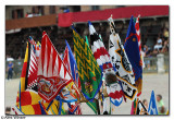 Palio Flags