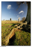 Knepp Castle Remains