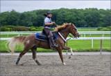 Belmont Park Racetrack, two pony-tails