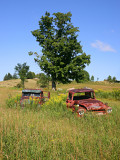 Old Trucks