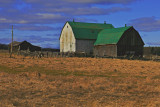 Farm Landscape