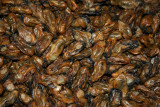 Dried seafood