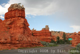 IMG_6874.jpg