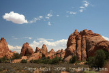 IMG_7047.jpg