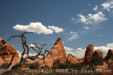 IMG_7056.jpg