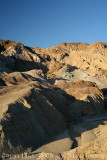 IMG_7336.jpg