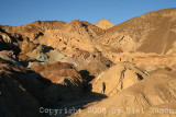 IMG_7338.jpg