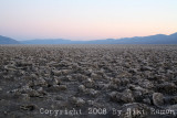 IMG_7362.jpg