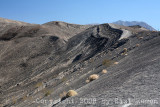 IMG_7380.jpg