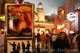 IMG_7430.jpg