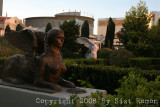 IMG_7795.jpg