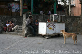 IMG_1670.jpg
