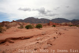 IMG_3396.jpg