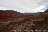 IMG_3444.jpg