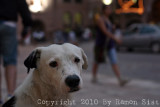 IMG_3550.jpg