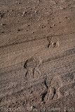 IMG_3605.jpg