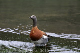 IMG_3789.jpg