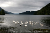 IMG_3827.jpg