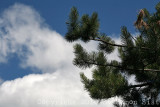 IMG_4033.jpg