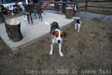 IMG_4371.jpg