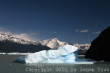 IMG_4401.jpg