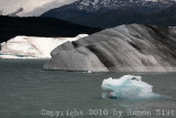 IMG_4416.jpg
