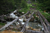 IMG_4596.jpg