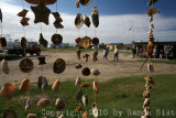IMG_4794.jpg