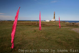 IMG_4814.jpg