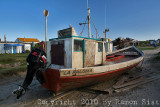 IMG_4836.jpg