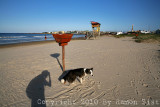IMG_4841.jpg