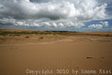 IMG_4867.jpg