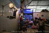IMG_5067.jpg